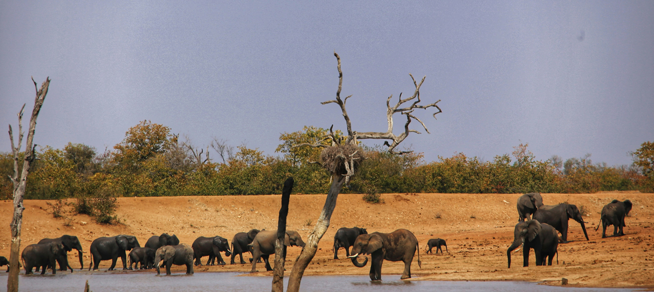 Tsavo East National Park